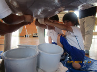 IMG_7325 - コピー