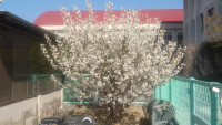 IMGP2282