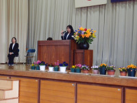 P3305939