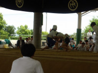 IMGP0478