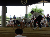 IMGP1252