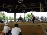 IMGP1260