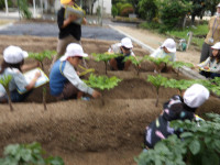 IMGP0499