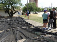 IMGP0628