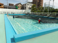 IMGP0634