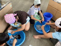 0616洗濯 (3)