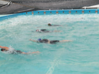IMGP0795