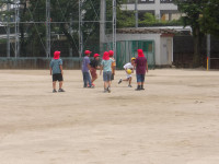 IMGP0928