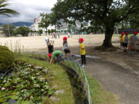 IMGP0931