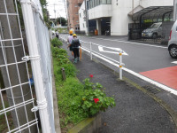 IMGP0968