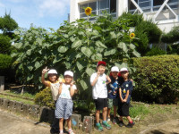 IMGP0974