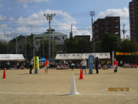 IMG_9977