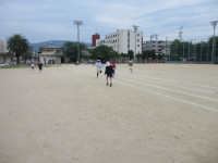 IMG_0049