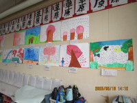 1IMG_4785