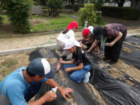 IMGP0881