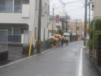 IMGP1645