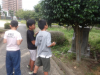 IMGP1860