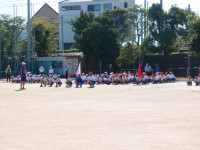 P9307034