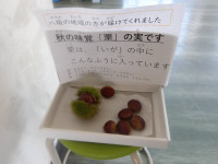 IMGP2047