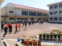 P4303392