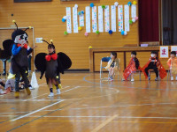 P5023413