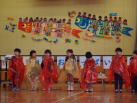 P5023533